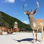 F96 Terme Olimia, Aqualuna Kamp Natura Card Included Year