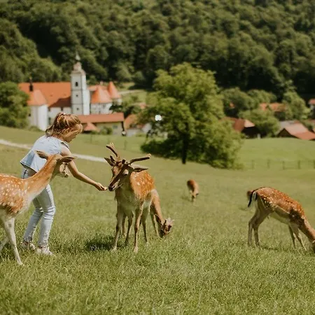 F96 Terme Olimia, Aqualuna Kamp Natura Card Included Year *