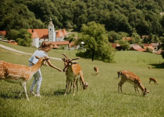 F96 Terme Olimia, Aqualuna Kamp Natura Card Included Year *