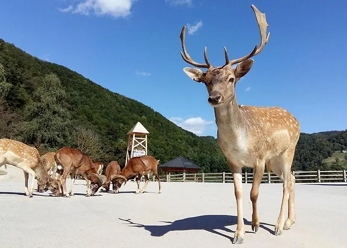 F96 Terme Olimia, Aqualuna Kamp Natura Card Included Year